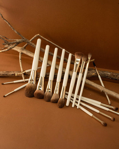 Complete Pro Brush Collection